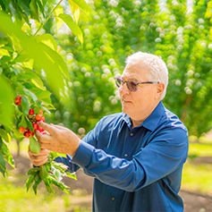 Quality Control Inspection Team – Fresh Pacific